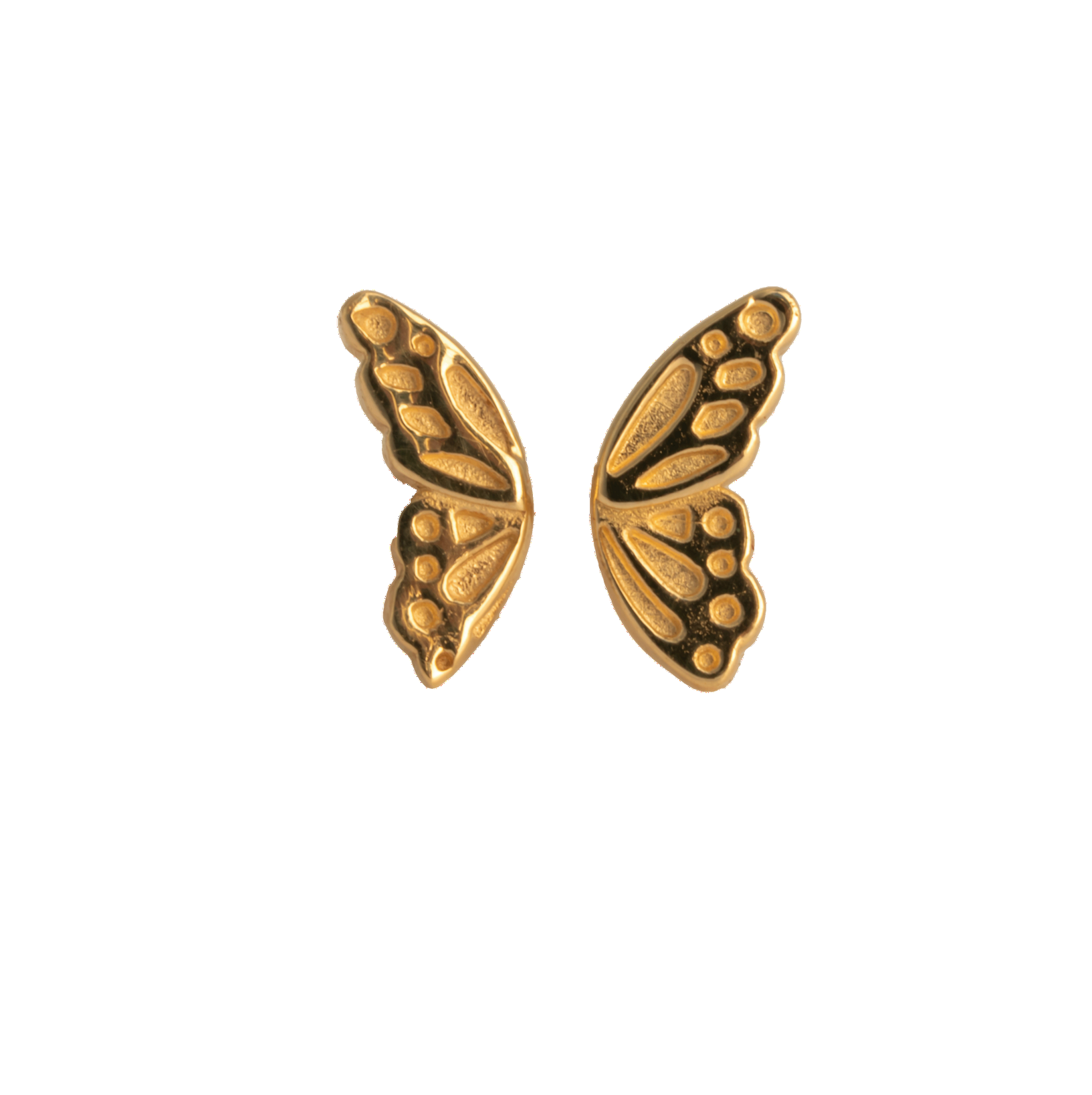 Butterfly Wing Earrings